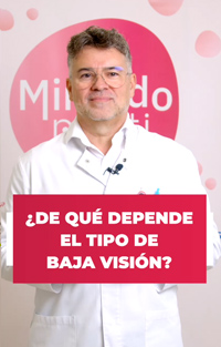 baja vision 4
